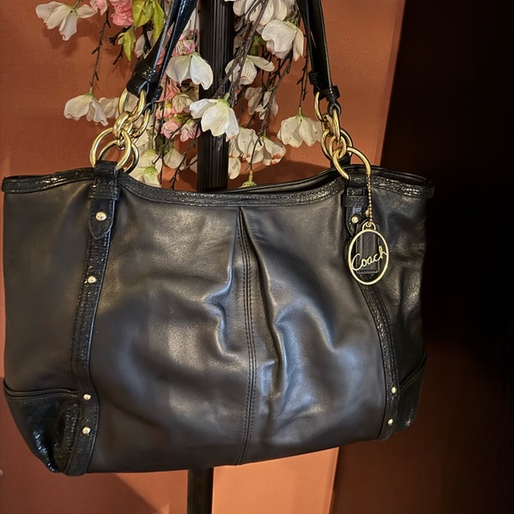 Coach Handbags - COACH EUC Large Alexandra Python  Chain Leather  Shoulder Bag
